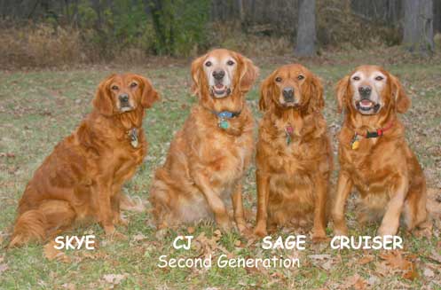 Golden Retriever Kennel